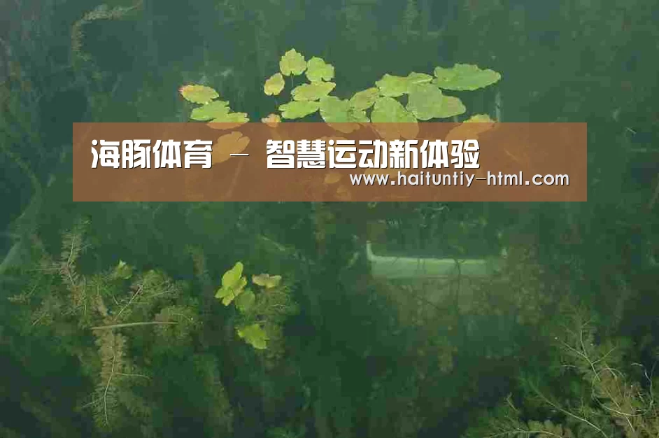 案例展示三(图1)