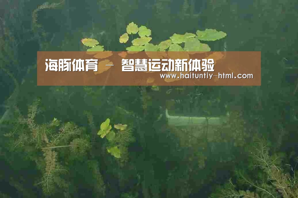案例展示三