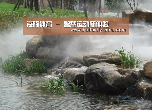 案例展示五