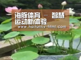 产品名称一