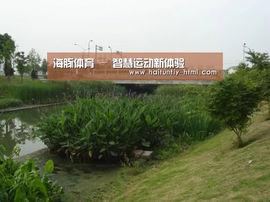案例展示四