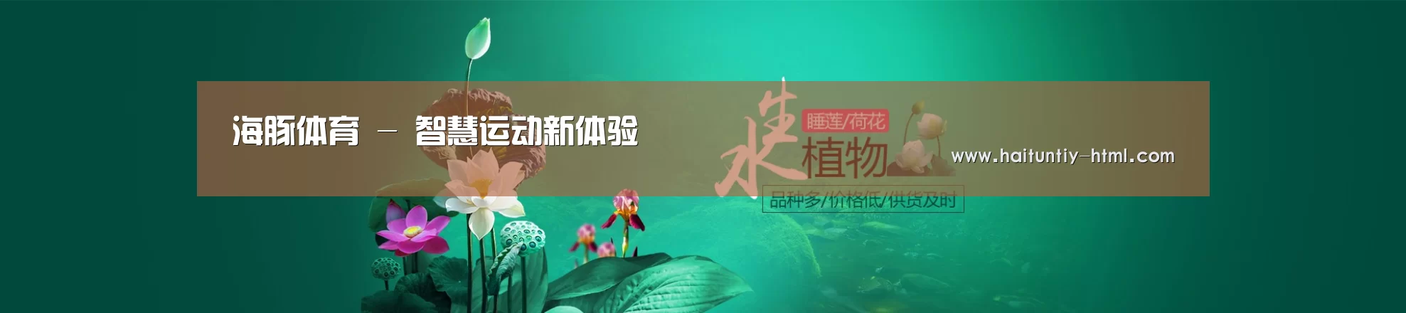 鲜花水草花卉网站模板