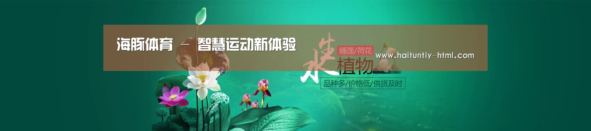 鲜花水草花卉网站模板
