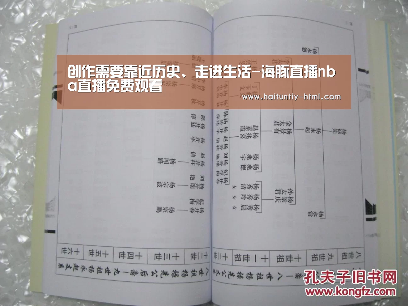 海豚直播体育
