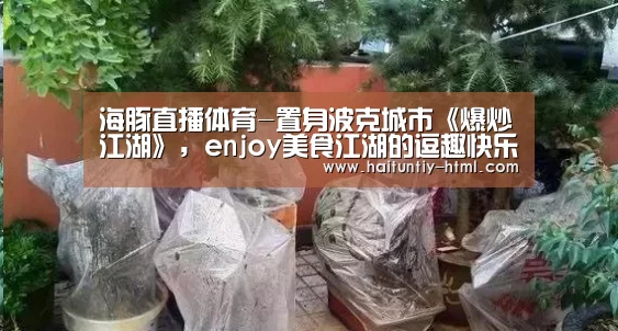 海豚直播nba直播免费观看