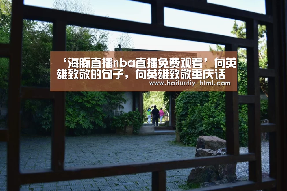 海豚直播体育