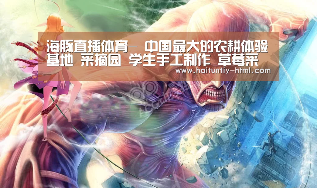 海豚直播nba直播免费观看