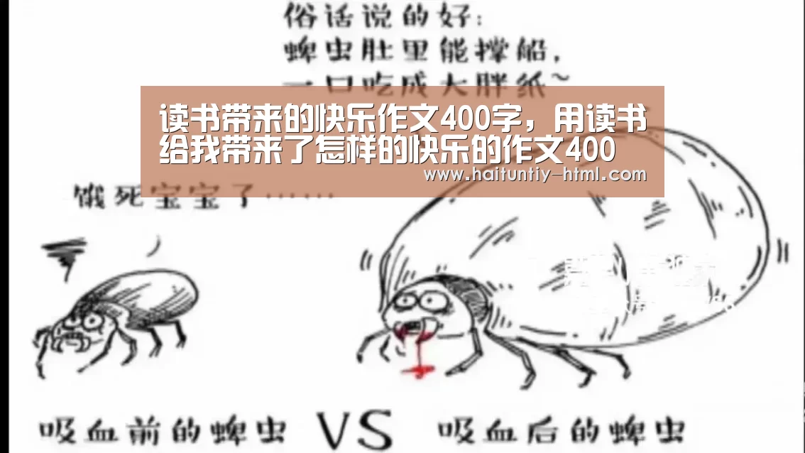 海豚直播体育