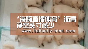 ‘海豚直播体育’沥青 净空头寸减少(图4) 海豚直播体育