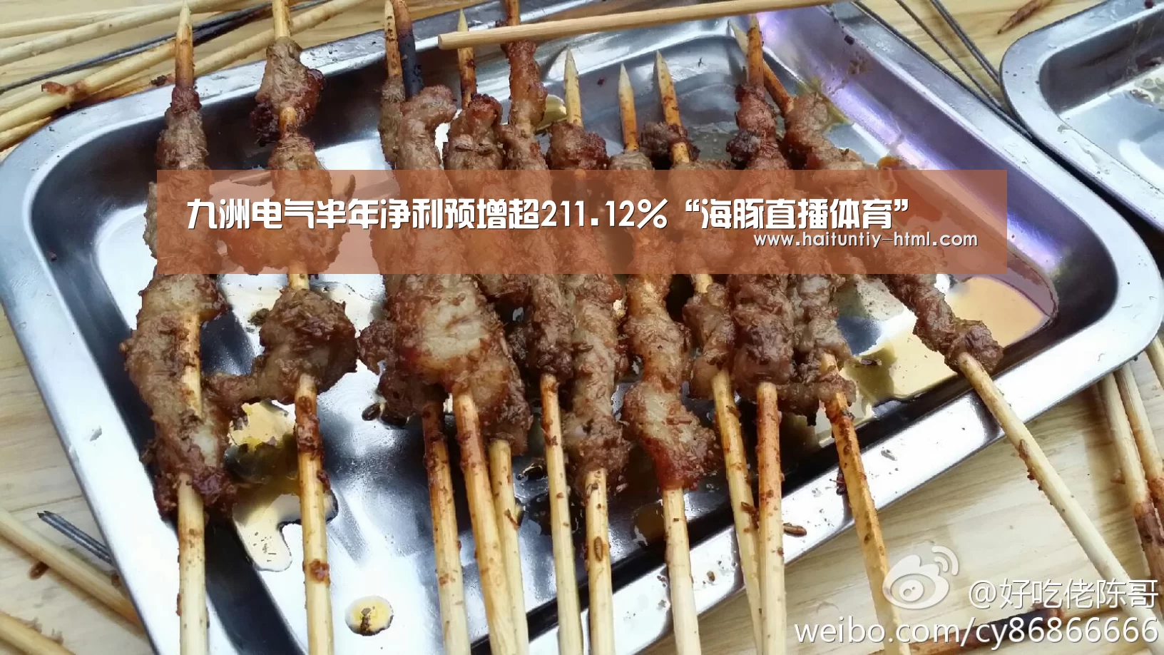 海豚直播体育