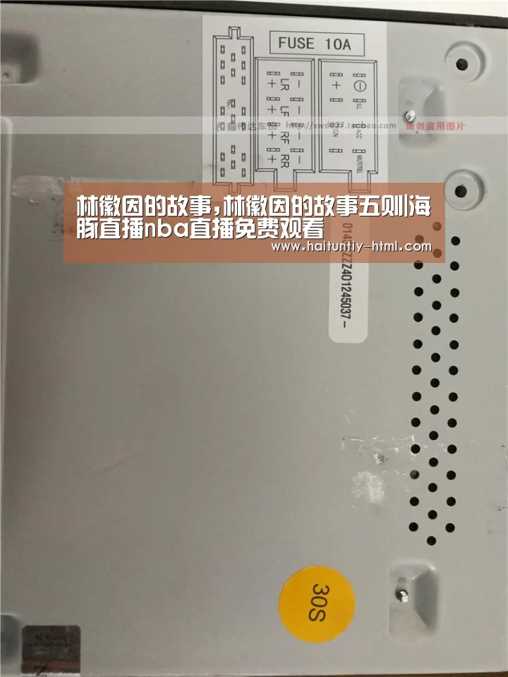 海豚直播nba直播免费观看